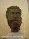 Portrait head from a statue of a philoshoper