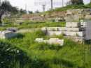 The Gymansium